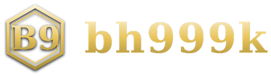 bh999k logo